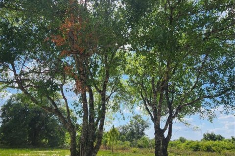 Land in Okeechobee, Florida № 1828321 - photo 13