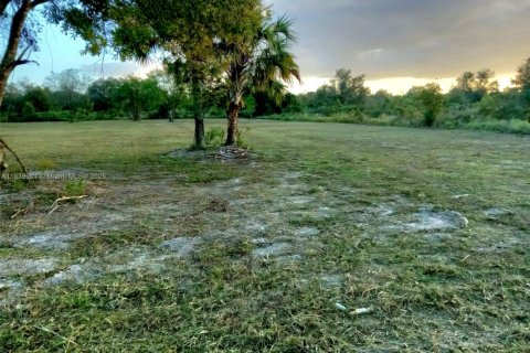 Land in Okeechobee, Florida № 1828321 - photo 2