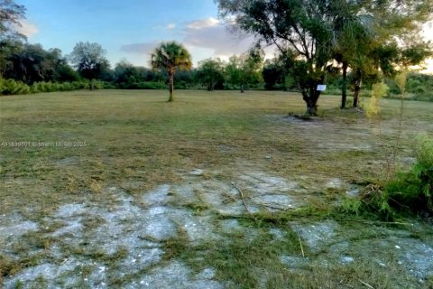 Land in Okeechobee, Florida № 1828321 - photo 5