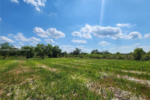 Land in Okeechobee, Florida № 1828321 - photo 20