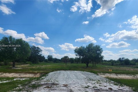 Land in Okeechobee, Florida № 1828321 - photo 21
