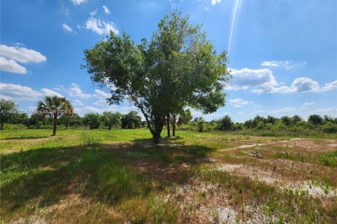 Land in Okeechobee, Florida № 1828321 - photo 8