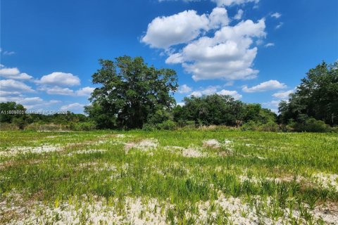 Land in Okeechobee, Florida № 1828321 - photo 17
