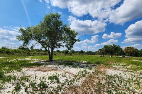 Land in Okeechobee, Florida № 1828321 - photo 19