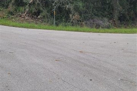 Land in Ocala, Florida № 2229685 - photo 4