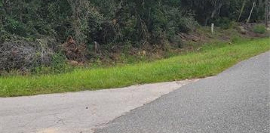 Land in Ocala, Florida № 2229685