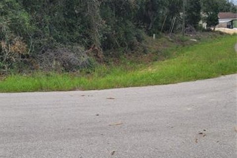Land in Ocala, Florida № 2229685 - photo 6