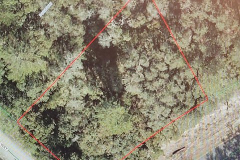 Land in Ocala, Florida № 2229685 - photo 2