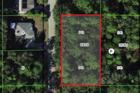 Land in Crystal River, Florida № 2165912 - photo 2
