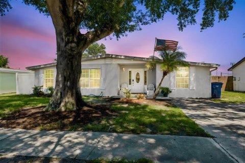 House in Tampa, Florida 3 bedrooms, 154.59 sq.m. № 2303005