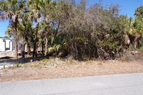 Land in North Port, Florida № 2161057 - photo 2