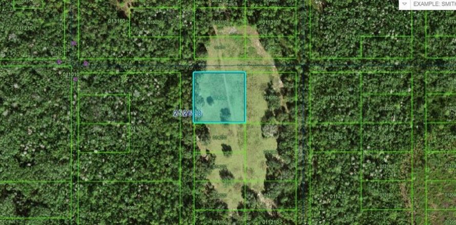 Terreno en Polk City, Florida № 2162203