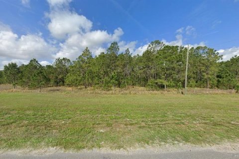 Terreno en venta en Polk City, Florida № 2162203 - foto 2