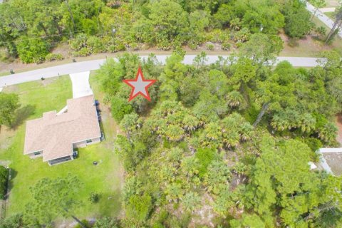 Land in North Port, Florida № 2160441 - photo 4