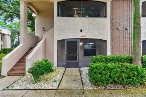 Condo in Palm Harbor, Florida, 2 bedrooms  № 2388094 - photo 3