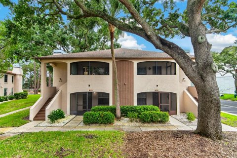 Condo in Palm Harbor, Florida, 2 bedrooms  № 2388094 - photo 2