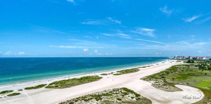 Condo à Clearwater, Floride, 2 chambres № 891309