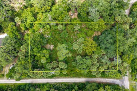 Land in Geneva, Florida № 2123137