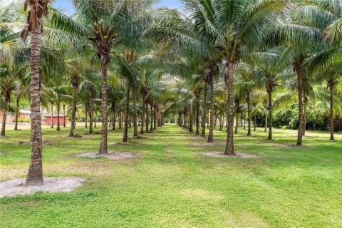 House in Homestead, Florida 6 bedrooms, 1106.19 sq.m. № 1682873 - photo 8