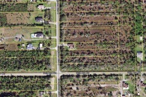Land in Naples, Florida № 2108483 - photo 3