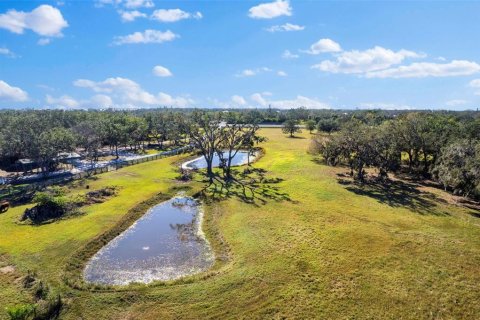 Land in Terra Ceia, Florida № 1587653 - photo 3