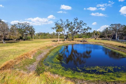 Land in Terra Ceia, Florida № 1587653 - photo 2