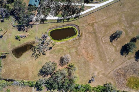 Land in Terra Ceia, Florida № 1587653 - photo 1