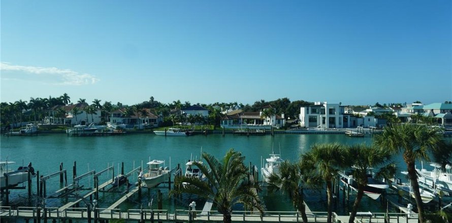 Condo à Tierra Verde, Floride, 3 chambres  № 2408924