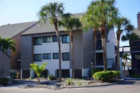 Copropriété à louer à Tierra Verde, Floride: 3 chambres, 164.9 m2 № 2408924 - photo 2