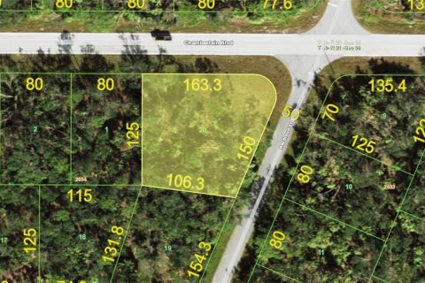Land in Port Charlotte, Florida № 2226240 - photo 4