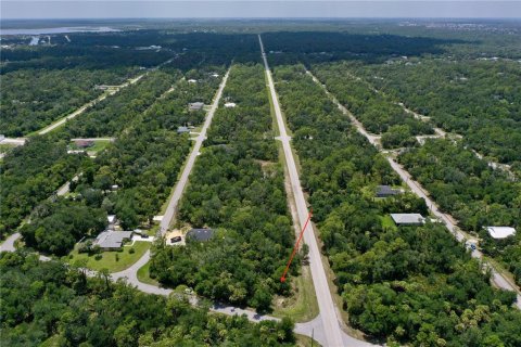 Land in Port Charlotte, Florida № 2226240 - photo 5