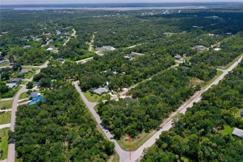 Land in Port Charlotte, Florida № 2226240 - photo 12