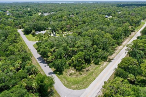Land in Port Charlotte, Florida № 2226240 - photo 21