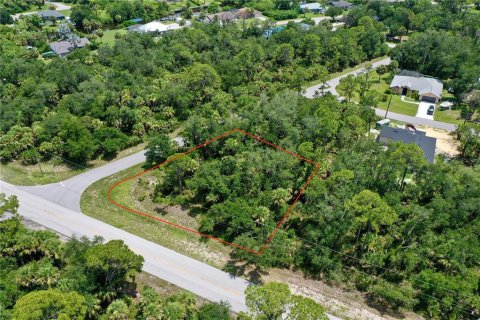 Land in Port Charlotte, Florida № 2226240 - photo 8