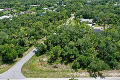 Land in Port Charlotte, Florida № 2226240 - photo 7