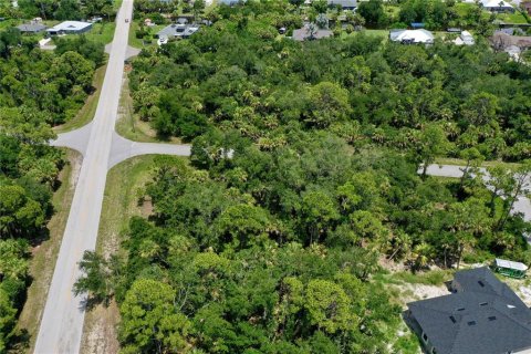 Land in Port Charlotte, Florida № 2226240 - photo 9