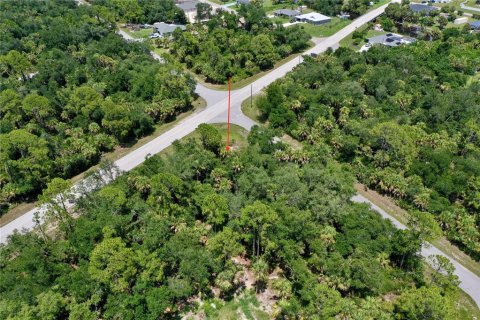 Land in Port Charlotte, Florida № 2226240 - photo 10