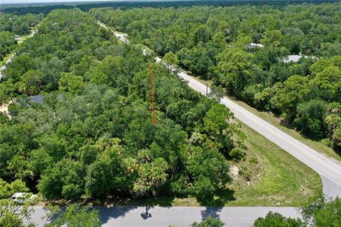 Land in Port Charlotte, Florida № 2226240 - photo 6