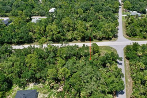 Land in Port Charlotte, Florida № 2226240 - photo 11