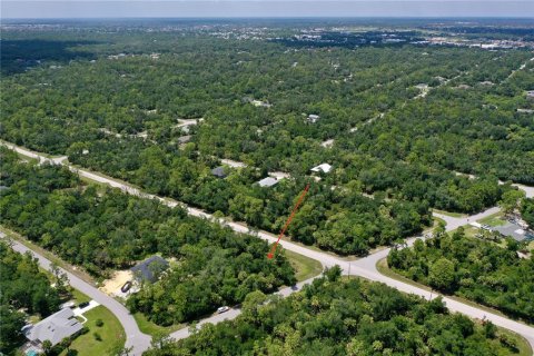 Land in Port Charlotte, Florida № 2226240 - photo 16