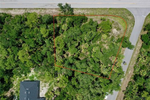 Land in Port Charlotte, Florida № 2226240 - photo 3