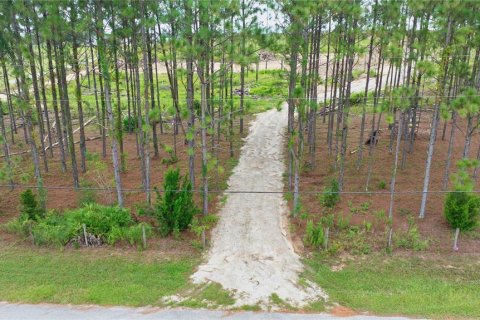 Land in Brooksville, Florida № 1368316 - photo 3