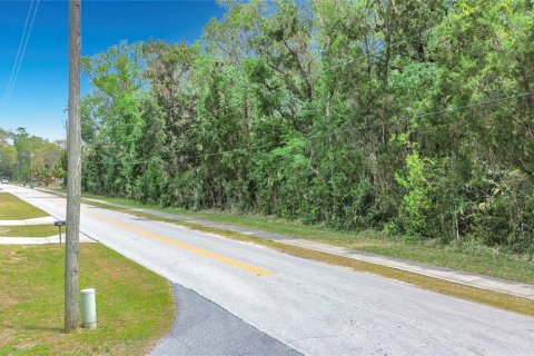 Terrain à vendre à Crystal River, Floride № 2098662 - photo 6