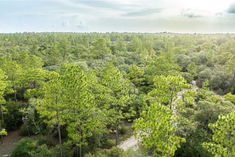 Land in Dunnellon, Florida № 2207771 - photo 7