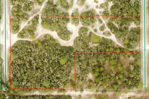 Terrain à Dunnellon, Floride № 2207771