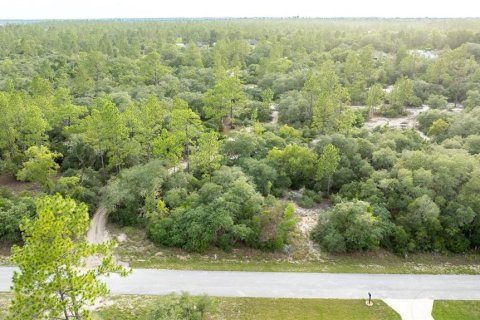 Land in Dunnellon, Florida № 2207771 - photo 6