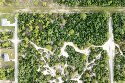 Land in Dunnellon, Florida № 2207771 - photo 2