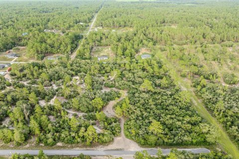 Land in Dunnellon, Florida № 2207771 - photo 5