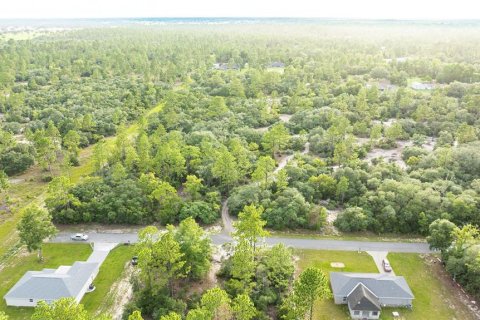 Land in Dunnellon, Florida № 2207771 - photo 3