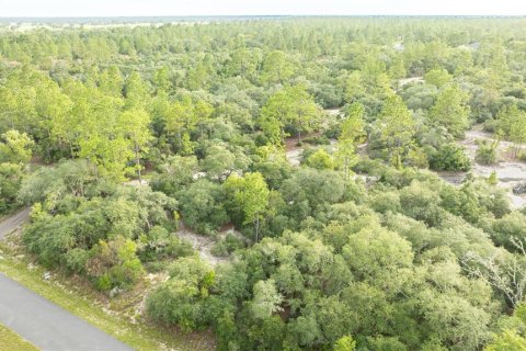 Land in Dunnellon, Florida № 2207771 - photo 4